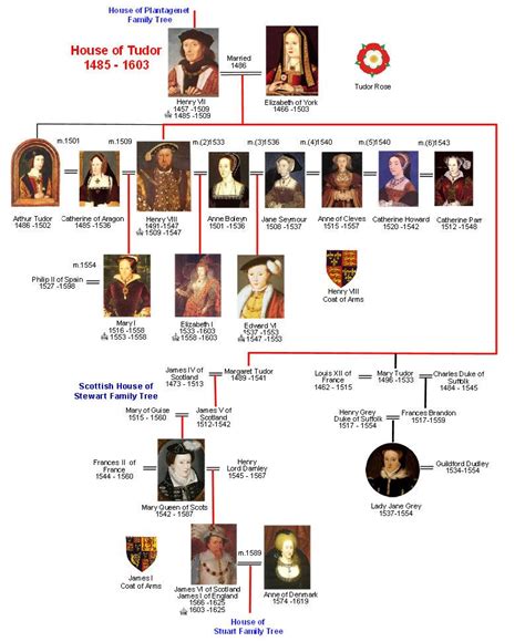 the tudor family history|house of tudor family tree.